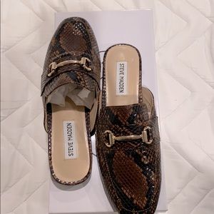 Steve Madden Snake skin Mule